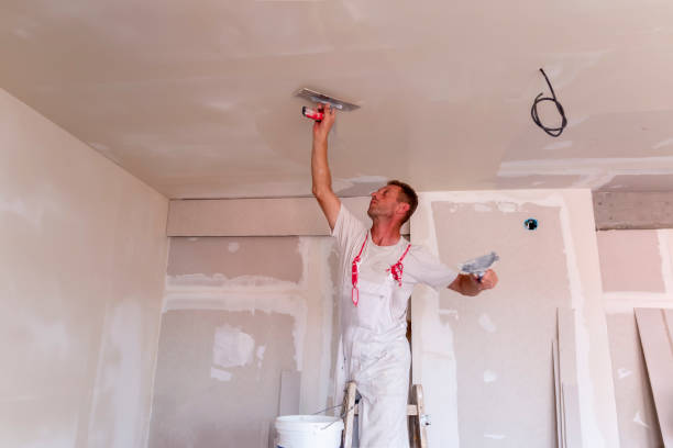 Best Drywall Sanding and Smoothing  in Cowpens, SC